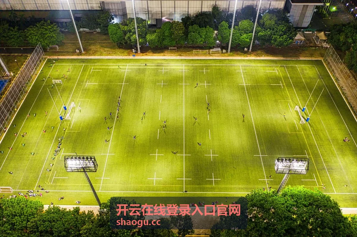 开云在线登录入口官网账户安全登录防护页面配图