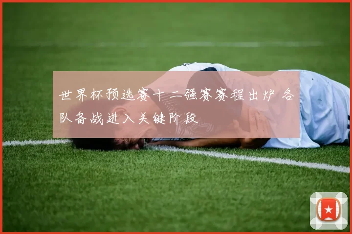 世界杯预选赛十二强赛赛程出炉 各队备战进入关键阶段