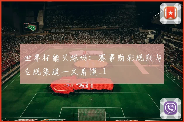世界杯能买球吗：赛事购彩规则与合规渠道一文看懂_1