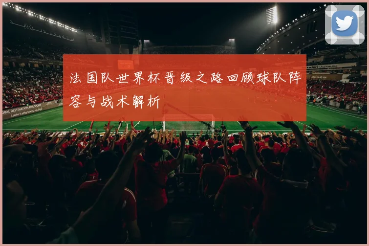 法国队世界杯晋级之路回顾球队阵容与战术解析