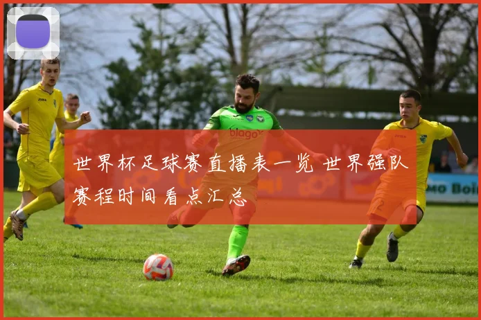 世界杯足球赛直播表一览 世界强队赛程时间看点汇总