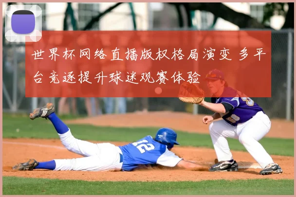 世界杯网络直播版权格局演变 多平台竞逐提升球迷观赛体验