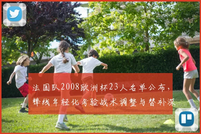 法国队2008欧洲杯23人名单公布，锋线年轻化考验战术调整与替补深度