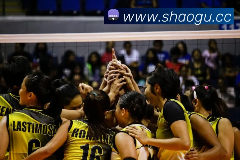 开云手机在线官网登录品牌故事