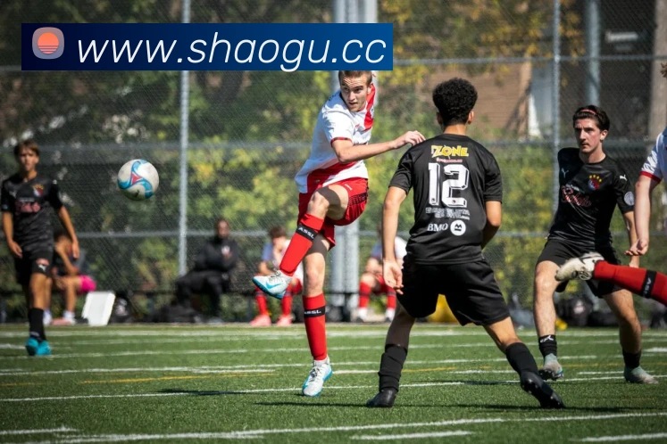 开云手机在线官网登录服务体系